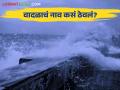 Dana Cyclone : बंगालच्या किनाऱ्यावरील चक्रीवादळाला नाव कोणी व कशावरून दिले? - Marathi News | Dana Cyclone : Who gave the name to the cyclone on the coast of Bengal? | Latest agriculture News at Lokmat.com