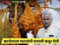 खजुराच्या शेतीतून पारोळ्याच्या प्रकाश पाटलांची हवामान बदलावर यशस्वी मात - Marathi News | Success story date fruut farming by Jalgaon Parola farmer Prakash Patil | Latest agriculture News at Lokmat.com