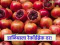 Pomegranate: इंदापुरात डाळिंबाला मिळाला विक्रमी दर! ५०१ रूपयांची लागली बोली - Marathi News | Pomegranate fetches record price in Indapur! Bid of Rs. 501 | Latest agriculture News at Lokmat.com