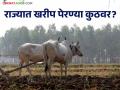 Kharif Cultivation Maharashtra: राज्यातील खरीप पेरणी कुठवर आली? वाचा विभागनिहाय पेरण्यांचा अपडेट - Marathi News | kharif cultivation Maharashtra: Where did kharif sowing come from in the state? Read Section wise Sowing Update | Latest agriculture News at Lokmat.com