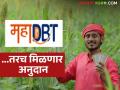 Mahadbt Anudan : ... तरच मिळणार सरकारी योजनांचे डीबीटी अनुदान, जाणून घ्या सविस्तर  - Marathi News | Latest News Mahadbt Anudan farmer aadhar linked to bank then DBT subsidy of government schemes, know the details | Latest agriculture News at Lokmat.com