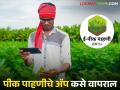 तुमच्या मोबाईलमधून ॲप वापरून अशी करा ई पीक पाहणी, सोप्या स्टेपद्वारे समजून घ्या!  - Marathi News | Latest news E Dcs App I Pik Pahani How to do e-crop inspection using an app on your mobile, understand in simple steps! | Latest agriculture News at Lokmat.com
