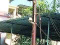 पाली शहरावर हवा सीसीटीव्हीचा वॉच - Marathi News | have CCTV Watch on Pali City | Latest raigad News at Lokmat.com