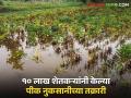 Crop Damage : पावसामुळे पिकांचे मोठे नुकसान! राज्यातील १० लाख शेतकऱ्यांनी केल्या पिक विम्यासाठी तक्रारी - Marathi News | Crop Damage: Heavy loss of crops due to rain! Complaints for crop insurance made by 10 lakh farmers in the state | Latest agriculture News at Lokmat.com
