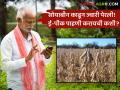 E-Pik Pahani : सोयाबीन काढून ज्वारी पेरली! खरिपातील सोयाबीनची ई-पीक पाहणी आत्ता करायची कशी? - Marathi News | E-Pik Pahani Sorghum was planted after removing soybeans How to do e-peak inspection of soybeans in Kharip now? | Latest agriculture News at Lokmat.com