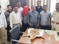 नागपुरात हरिणाच्या  कातड्यासह आरोपीला अटक - Marathi News | The accused arrested along with the skin of the hare in Nagpur | Latest nagpur News at Lokmat.com