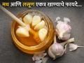 मध आणि लसूण सोबत खाणं खरंच चांगलं असतं का? जाणून घ्या याचे फायदे - Marathi News | Is it really good to eat with honey and garlic? Know the benefits | Latest health News at Lokmat.com