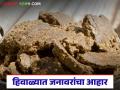 हिवाळ्यात जनावरांना कुठली पेंड खाऊ घालावी? आहार नेमका कसा असावा! - Marathi News | Latest News Animal Nutrition In Winter What kind of food should be fed to animals in winter | Latest agriculture News at Lokmat.com