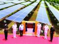 नौदल तळावर सौरऊर्जा प्रकल्प; ई-उद्घाटन - Marathi News | Solar power projects at naval bases; E-opening | Latest raigad News at Lokmat.com