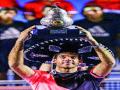 डेल पोत्रो मेक्सिको ओपनचा चॅम्पियन - Marathi News |  Del Potro Mexico Open champion | Latest tennis News at Lokmat.com