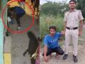 Delhi Murder: दिल्लीत अल्पवयीन मुलीची निर्घृण हत्या, आरोपी साहिलला पोलिसांनी बुलंदशहरमधून घेतले ताब्यात - Marathi News | Delhi Murder: Sahil, the accused who brutally murdered a minor girl in Delhi, is in police custody | Latest crime News at Lokmat.com