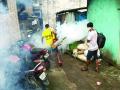 रेवस-बोडणी परिसरामध्ये डेंग्यूचे १५ संशयित रुग्ण - Marathi News | Three suspected dengue patients in Revas-Bodani area | Latest raigad News at Lokmat.com