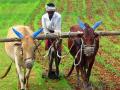 वाशिम जिल्ह्यातील ९ हजार पात्र शेतकरी पीककर्जापासून वंचित - Marathi News | 9,000 eligible farmers in Washim district deprived of crop loans | Latest vashim News at Lokmat.com