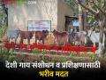 पुणे कृषी महाविद्यालयाच्या देशी गाय संशोधन व प्रशिक्षण केंद्रास शासनाकडून ७१ कोटींचा भरीव निधी - Marathi News | funding of 71 crores from Govt to Desi Cow Research and Training Center of Pune Agricultural College | Latest agriculture News at Lokmat.com
