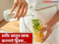न्यूट्रिशनिस्टचा सल्ला 'या' ३ डिटॉक्स ड्रिंकचं सेवन करून कमी होईल वजन, पोटही होईल साफ... - Marathi News | Detox Water: 3 best detox drinks for weight loss and gut health | Latest health News at Lokmat.com