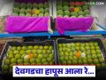 Devgad Hapsus : बाजारात देवगडच्या हापूसचे आगमन; वाचा डझनाला काय मिळतोय दर? - Marathi News | Devgad Hapsus : Arrival of Devgad Hapsus in the market; Read what is the price per dozen? | Latest agriculture News at Lokmat.com