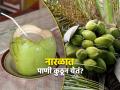 नारळात पाणी कुठून येतं? प्यायले तर खूपदा असाल पण, याचं उत्तर माहीत नसेल! - Marathi News | From where water comes in coconut, know the interesting facts | Latest jarahatke News at Lokmat.com