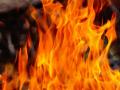 ...म्हणून व्यावसायिकानं जाळले सात कोटी, मिळाली 30 दिवसांची शिक्षा - Marathi News | businessman burnt seven crores rupees due to wife got 30 days punishment | Latest international News at Lokmat.com