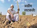 करारपत्र न दिल्याने अग्रीम लटकले; शेतकऱ्यांना ऐन दिवाळीत पहावी लागणार वाट - Marathi News | Advance suspended due to non-delivery of contract; Farmers will have to wait until Diwali | Latest agriculture News at Lokmat.com