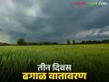 फेब्रुवारी महिन्यात महाराष्ट्रात पावसाची शक्यता आहे काय, काय सांगतोय हवामान अंदाज  - Marathi News | Latest News Weather Update possibility of rain in Maharashtra in February see weather forecast | Latest agriculture News at Lokmat.com