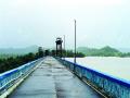धामणी दीड महिन्यापासून अंधारात - Marathi News | Dhamani for one and a half months in the dark | Latest raigad News at Lokmat.com