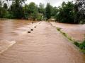 धामोड बंधाऱ्यावर पाणी ;२० गावांसह धामणीखोऱ्याचा संपर्क तुटला - Marathi News |  Water on Dhamod Dam; Contact cut with Dhamni valley & 20 villages | Latest kolhapur News at Lokmat.com