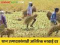 Paddy Procurement : राज्यातील धान उत्पादकांना दिलासा, आता धान भरडाईसाठी अतिरिक्त 40 रुपये दर - Marathi News | Latest News Relief to paddy producers in maharashtra, now additional rate of Rs 40 for paddy shipment | Latest agriculture News at Lokmat.com