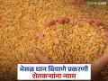Dhan Biyane Case : भेसळ बियाण्याने शेतकऱ्यांचे नुकसान; ७.४६ लाख भरपाईचा आदेश! - Marathi News | latest news Dhan Biyane Case: Farmers suffer losses due to adulterated seeds; Order to pay compensation of Rs 7.46 lakh! | Latest agriculture News at Lokmat.com