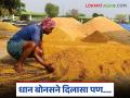 Dhan Bonus : सहा महिन्यांनी धान बोनस आला, आता चुकारे कधीपर्यंत मिळणार?  - Marathi News | Latest news Dhan Bonus paddy bonus came after six months, farmer waiting for chukare | Latest agriculture News at Lokmat.com