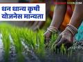 महाराष्ट्रातील 'या' नऊ जिल्ह्यांमध्ये धनधान्य कृषि योजना राबविण्यास मान्यता, वाचा योजनेचे स्वरूप  - Marathi News | latest News Approval to implement Dhandhanya Krishi Yojana in nine districts of Maharashtra | Latest agriculture News at Lokmat.com