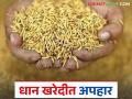 Dhan Kharedi Ghotala : धान खरेदीत एक कोटींचा घोटाळा, खरेदी केलेल्या धानापेक्षा उचल दिली कमी! - Marathi News | Latest News Dhan Kharedi Ghotala Scam of one crore rupees in paddy purchase In gondiya district see details | Latest agriculture News at Lokmat.com