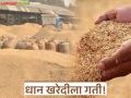 Dhan Kharedi : धान खरेदीला गती; नागपूर जिल्ह्यात पणन महासंघाची 'इतक्या' हजार क्विंटल धान खरेदी वाचा सविस्तर - Marathi News | latest news Dhan Kharedi: Paddy procurement accelerates; Marketing Federation purchases 'so many' thousand quintals of paddy in Nagpur district Read in detail | Latest agriculture News at Lokmat.com