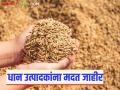 धान विक्री केली असो किंवा नसो या शेतकऱ्यांना मिळणार २० हजार रुपये; वाचा सविस्तर - Marathi News | These farmers will get Rs 20,000 whether they sell their paddy or not; Read in detail | Latest agriculture News at Lokmat.com