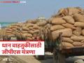 Paddy Transportation : धान वाहतुकीत होणारा घोळ रोखण्यासाठी महत्वाचा निर्णय, आदिवासी विकास मंत्र्यांचे निर्देश - Marathi News | | Latest agriculture News at Lokmat.com