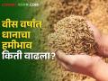 Paddy MSP : खर्च वाढला हजारांत, हमीभाव वाढला रुपयात, वीस वर्षांत धानाचा हमीभाव कसा राहिला?  - Marathi News | Latest news only Rs 117 increase in msp price of paddy in Kharif season 2024-25 | Latest agriculture News at Lokmat.com