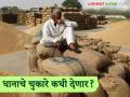 Paddy procurement : धान खरेदी जोरात अन् चुकारे संथ; शासकीय खरेदीचे वास्तव वाचा सविस्तर - Marathi News | Paddy procurement: Paddy procurement is booming and defaults are slow; Read the reality of government procurement in detail | Latest agriculture News at Lokmat.com