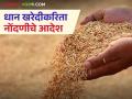 धानखरेदीकरिता नोंदणीचे आदेश धडकले, ही कागदपत्रे आवश्यक, अशी करा नोंदणी   - Marathi News | Latest News Dhan Kharedi Registration order issued for paddy purchase, these documents are required | Latest agriculture News at Lokmat.com