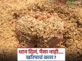 Paddy Crop: धानाची रक्कम नाहीच; बोनस कधी पदरात पडणार? शेतकऱ्यांचा सवाल - Marathi News | latest news Paddy Market: There is no amount of paddy; When will the bonus be paid? Farmers' question | Latest agriculture News at Lokmat.com