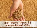 शासकीय धान खरेदी केंद्रे सुरू करणार कधी? शेतकऱ्यांचे प्रति क्विंटल ४०० रुपयांचे नुकसान - Marathi News | When will government paddy purchase centers start? 400 per quintal loss to farmers | Latest agriculture News at Lokmat.com