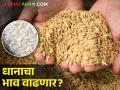 भात किती दिवस घरात ठेवणार? बाजारभाव कधी वाढणार - Marathi News | How long will rice be kept in the house? When will the market price increase? | Latest agriculture News at Lokmat.com