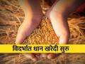 विदर्भात २२२ धान खरेदी केंद्रे सुरू - Marathi News | 222 paddy purchase centers open in Vidarbha | Latest agriculture News at Lokmat.com