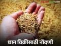 Rabbi Dhan Vikri : रब्बीतील धान विक्रीसाठी 'या' तारखेपर्यंत नोंदणी करता येईल, वाचा सविस्तर  - Marathi News | Latest News Registration for sale of Rabi paddy can be done till 23 saptember date, read in detail | Latest agriculture News at Lokmat.com