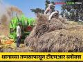 Agriculture News : धानाच्या तणसापासून टीएमआर ब्लॉक्स, फायदे आणि वैशिष्ट्ये काय आहेत?  - Marathi News | Latest News What are TMR Blocks from Paddy Weed, Benefits and Features see details | Latest agriculture News at Lokmat.com