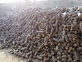 जनावरांच्या चाऱ्यासाठी ‘व्हाइट कोल’ निर्मितीला ब्रेक - Marathi News | stop the 'white coal' production for animal feed, Directions | Latest amravati News at Lokmat.com