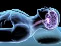आपण झोपतो, तेव्हा मेंदू काय करत असतो?; नक्की जाणून घ्या! - Marathi News | What does the brain do when we sleep ?; Find out for sure! | Latest mumbai News at Lokmat.com