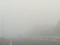 धुक्यात हरवला सिंधुदुर्ग; आंबा, काजू फळांना बसणार फटका - Marathi News | Sindhudurg thick fog Mango cashew fruit will be hit | Latest sindhudurga News at Lokmat.com