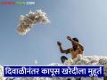 Kapus Kharedi : कापूस खरेदीसाठी केंद्रीय वस्त्रोद्योग मंत्रालयाकडून पणन महासंघाला परवानगी, वाचा सविस्तर - Marathi News | Latest news kapus kharedi Union Textiles Ministry grants permission to Marketing Federation for cotton procurement, read in detail | Latest agriculture News at Lokmat.com