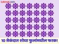 10 सेकंदात शोधून दाखवा फोटोतील फुलामधील फरक, जास्तीत जास्त लोक झाले फेल! - Marathi News | Optical Illusion : Can You Spot the Different Flower in 10 Seconds? | Latest social-viral News at Lokmat.com
