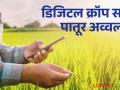 E-Pik pahani : पातूरचे शेतकरी डिजिटल क्रॉप सर्व्हेत एक पाऊल पुढे - Marathi News | E-Pik pahani : Farmers of Patur one step ahead in digital crop survey | Latest agriculture News at Lokmat.com