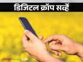राज्यात प्रत्येक जिल्ह्यात एका तालुक्यात डिजिटल क्रॉप सर्व्हे बाकी ठिकाणी पूर्वीप्रमाणेच ई-पीक पाहणी - Marathi News | Digital crop survey in one taluka in each district in the state other talukas e pik pahani as like before | Latest agriculture News at Lokmat.com